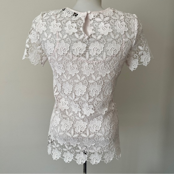 Zara Basic Guipure Lace Top Blouse Short Sleeve Lined Tank Top Floral Pink Sz XS - Picture 2 of 14
